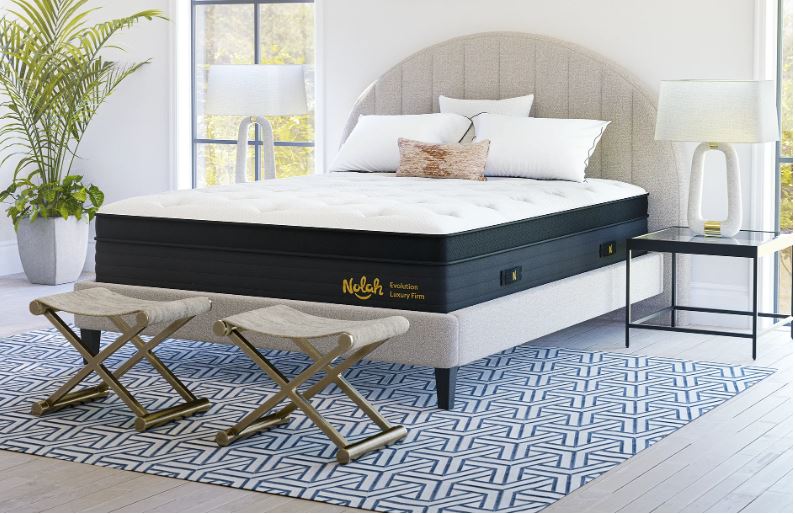 Nolah Evolution Hybrid