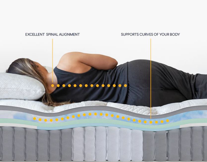 Nolah Evolution Hybrid