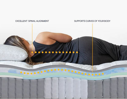 Nolah Evolution Hybrid