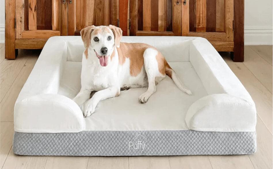 Best Puffy Dog Bed