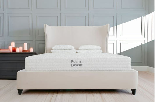 POSH + LAVISH PROVIDENCE HYBRID